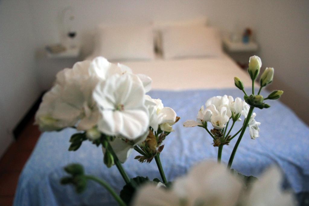 A Casa Da Arvore Bed & Breakfast Vila Nova de Milfontes Phòng bức ảnh