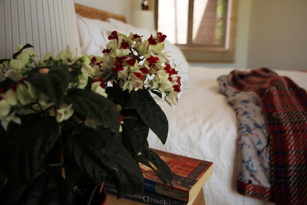A Casa Da Arvore Bed & Breakfast Vila Nova de Milfontes Phòng bức ảnh
