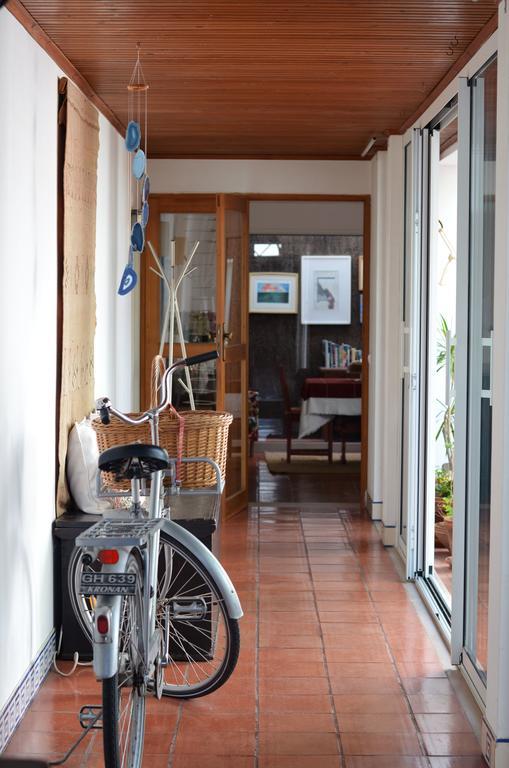 A Casa Da Arvore Bed & Breakfast Vila Nova de Milfontes Ngoại thất bức ảnh