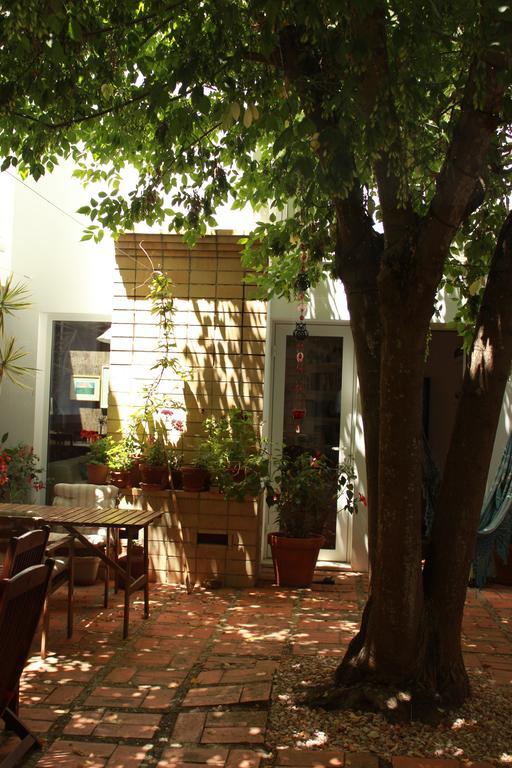 A Casa Da Arvore Bed & Breakfast Vila Nova de Milfontes Ngoại thất bức ảnh