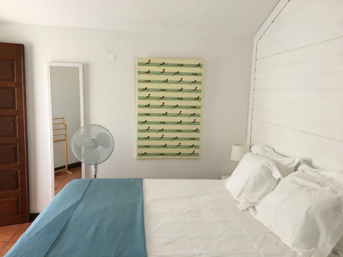 A Casa Da Arvore Bed & Breakfast Vila Nova de Milfontes Ngoại thất bức ảnh